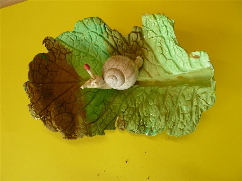Schnecken cycle 2.1 201314 5